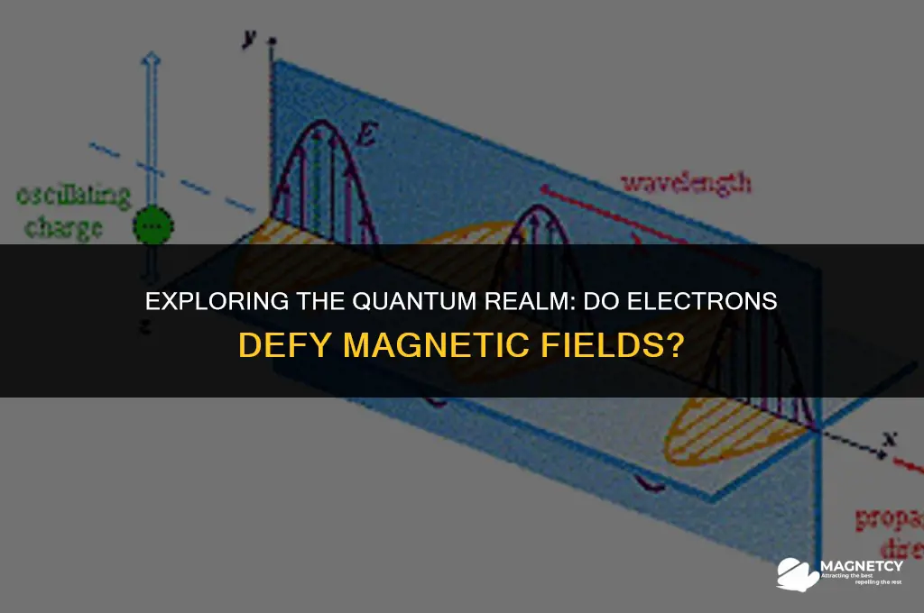 do electrons go aggains magnetic field