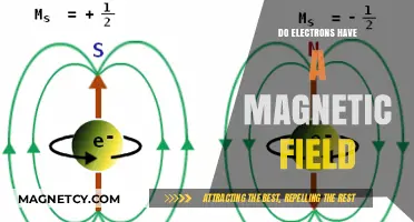 Unveiling the Magnetic Mysteries of Electrons: A Deep Dive