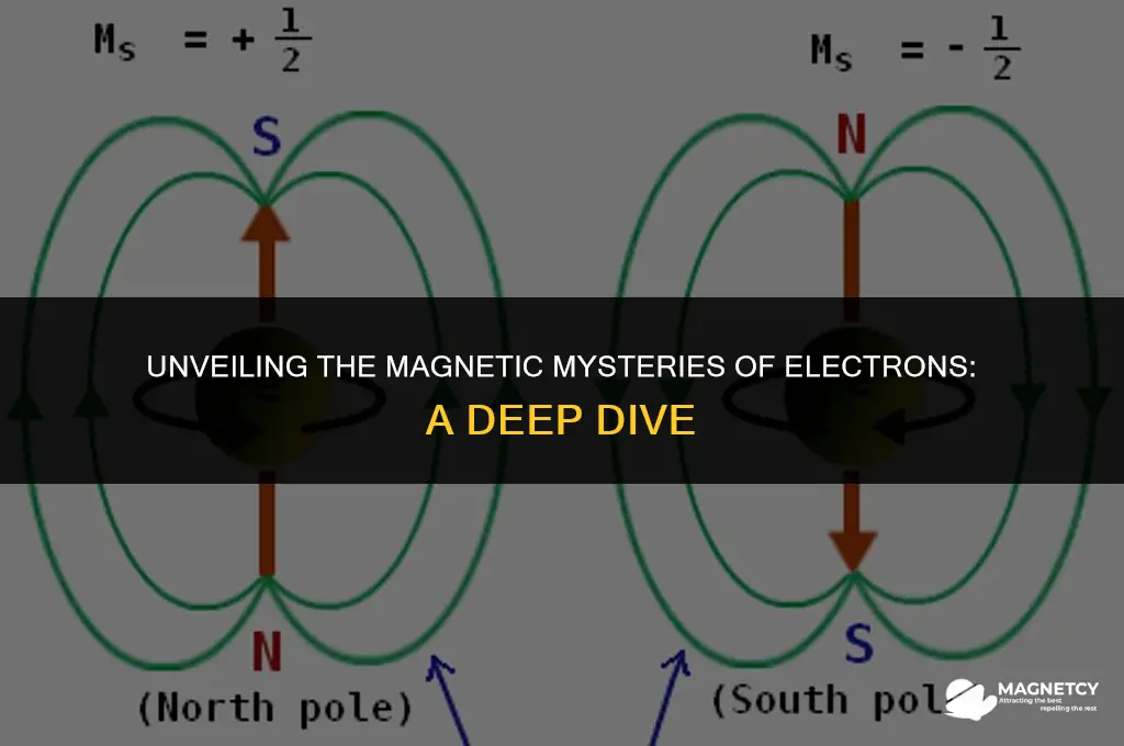 do electrons have a magnetic field