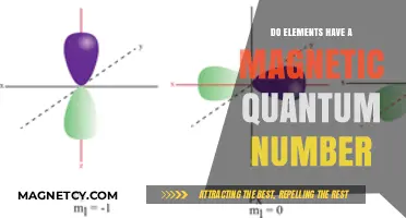Exploring the Magnetic Quantum Number: A Deep Dive into Atomic Physics