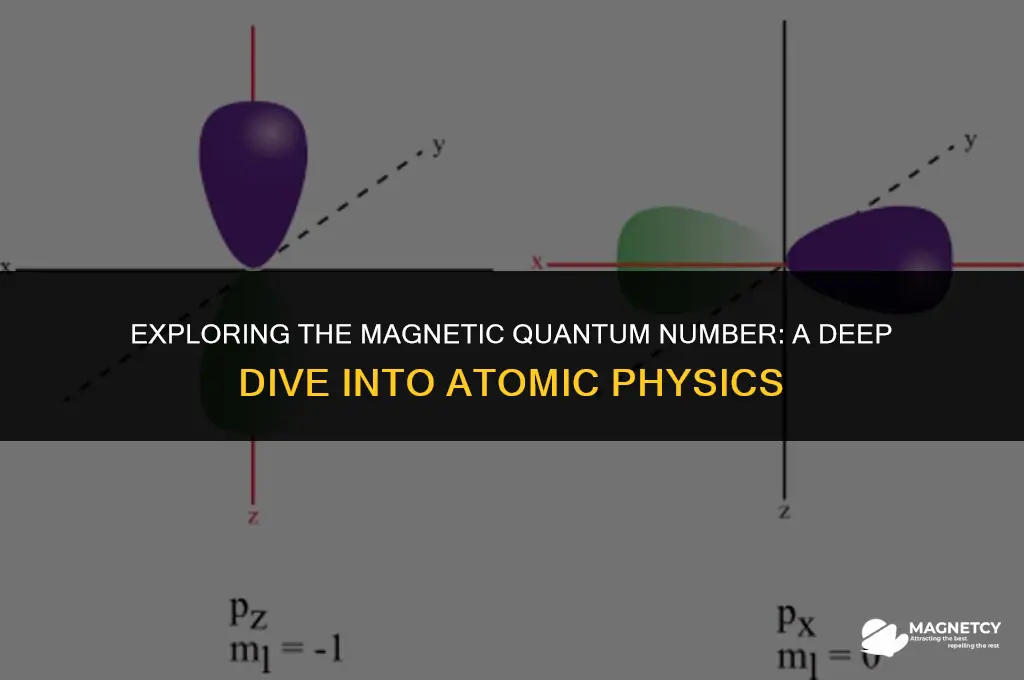 do elements have a magnetic quantum number