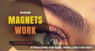 Exploring the Effectiveness of Eyelash Magnets: A Comprehensive Guide