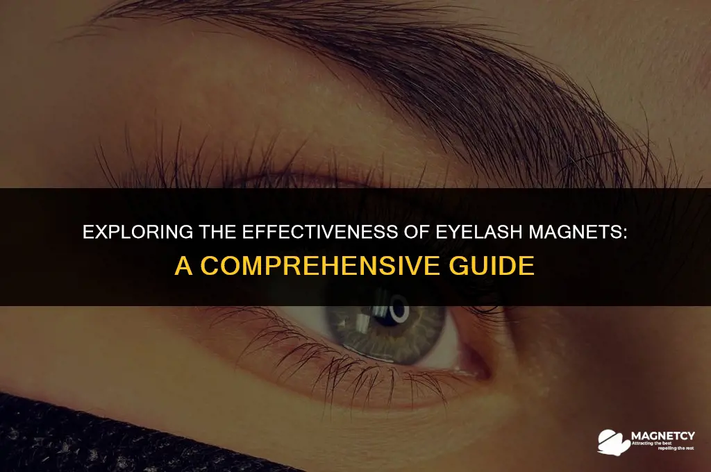 do eyelash magnets work
