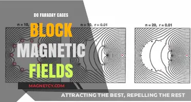 Exploring the Limits: Faraday Cages and Magnetic Field Shielding