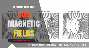 Exploring the Effectiveness of Faraday Cages Against Magnetic Fields