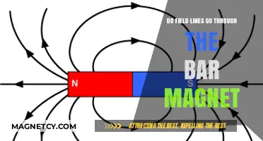 Exploring Magnetism: Do Field Lines Penetrate Bar Magnets?