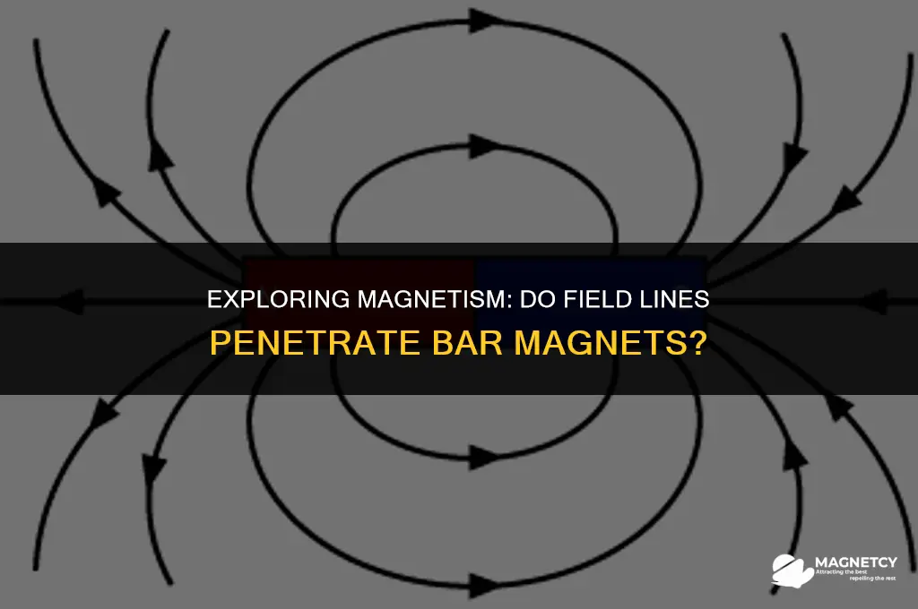 do field lines go through the bar magnet