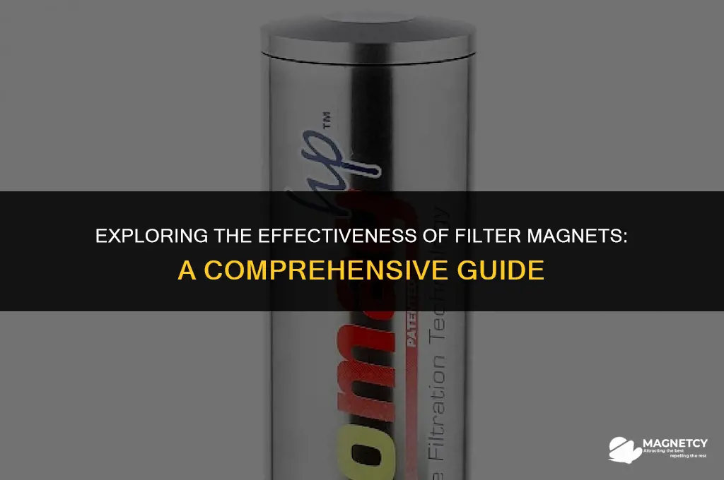 do filter magnets work