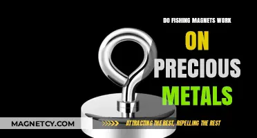Unveiling the Truth: Fishing Magnets and Precious Metals