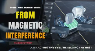 Exploring Magnetic Interference in Flat Panel Monitors: Facts and Myths