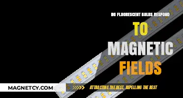 Exploring the Interaction: Fluorescent Bulbs and Magnetic Fields