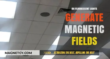 Unveiling the Truth: Fluorescent Lights and Magnetic Fields