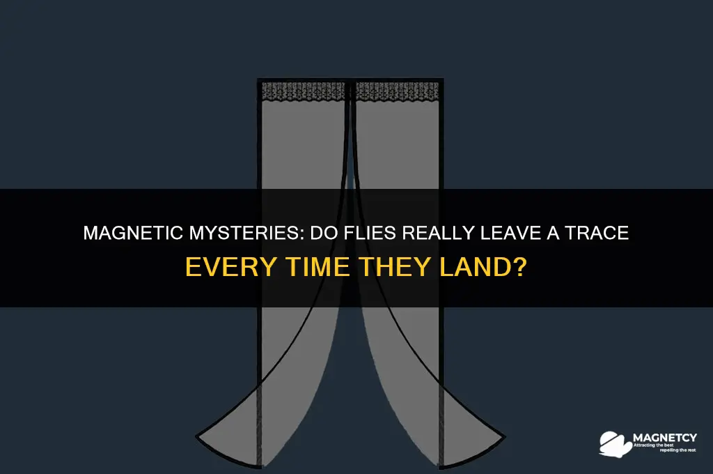 do flys really leave magnets everytime they land