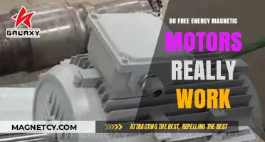 Exploring the Myth: Do Free Energy Magnetic Motors Really Work?