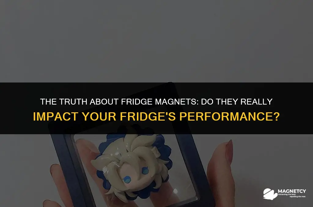 do fridge magnets affect the working of the fridge