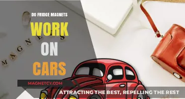 Exploring the Myth: Do Fridge Magnets Really Stick to Cars?