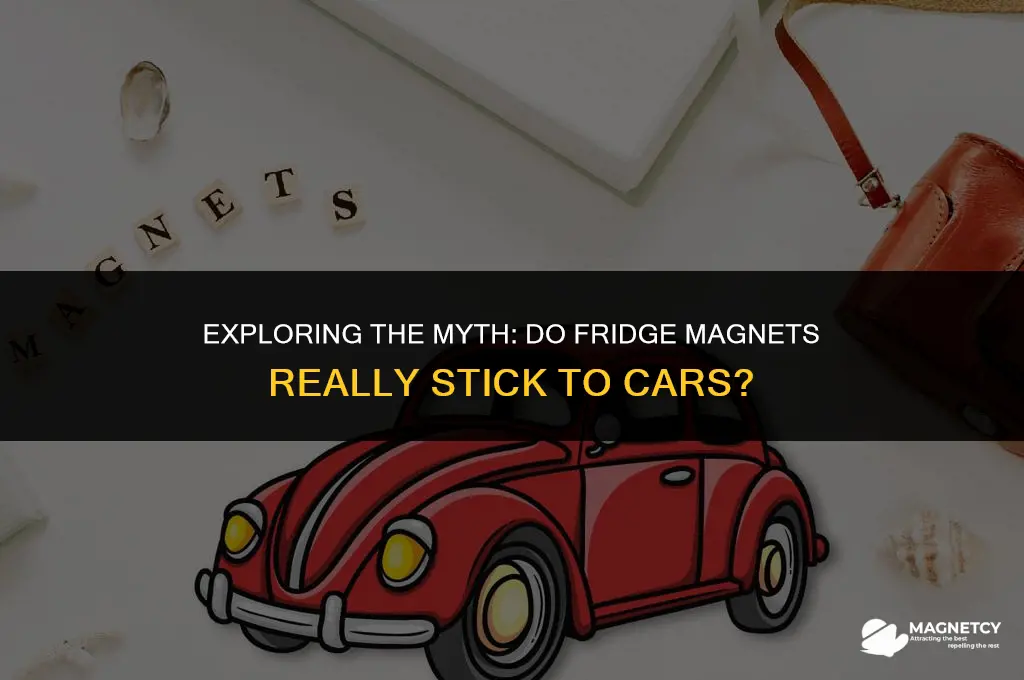do fridge magnets work on cars