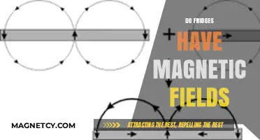 Exploring the Magnetic Mysteries of Your Kitchen Fridge