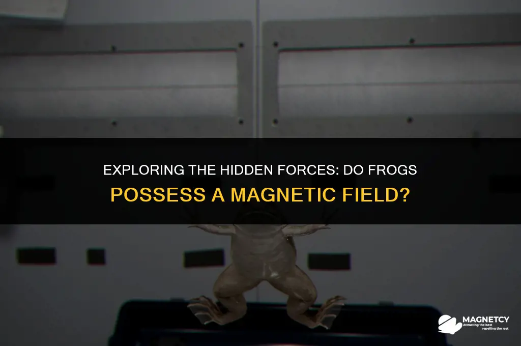 do frogs have a magnetic field