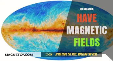 Unveiling the Invisible: Do Galaxies Harbor Magnetic Fields?