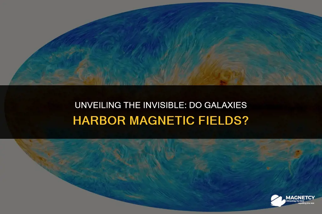 do galaxies have magnetic fields