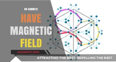Exploring the Magnetic Mysteries of Garnets: A Gemological Study