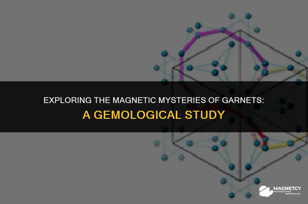 do garnets have magnetic field