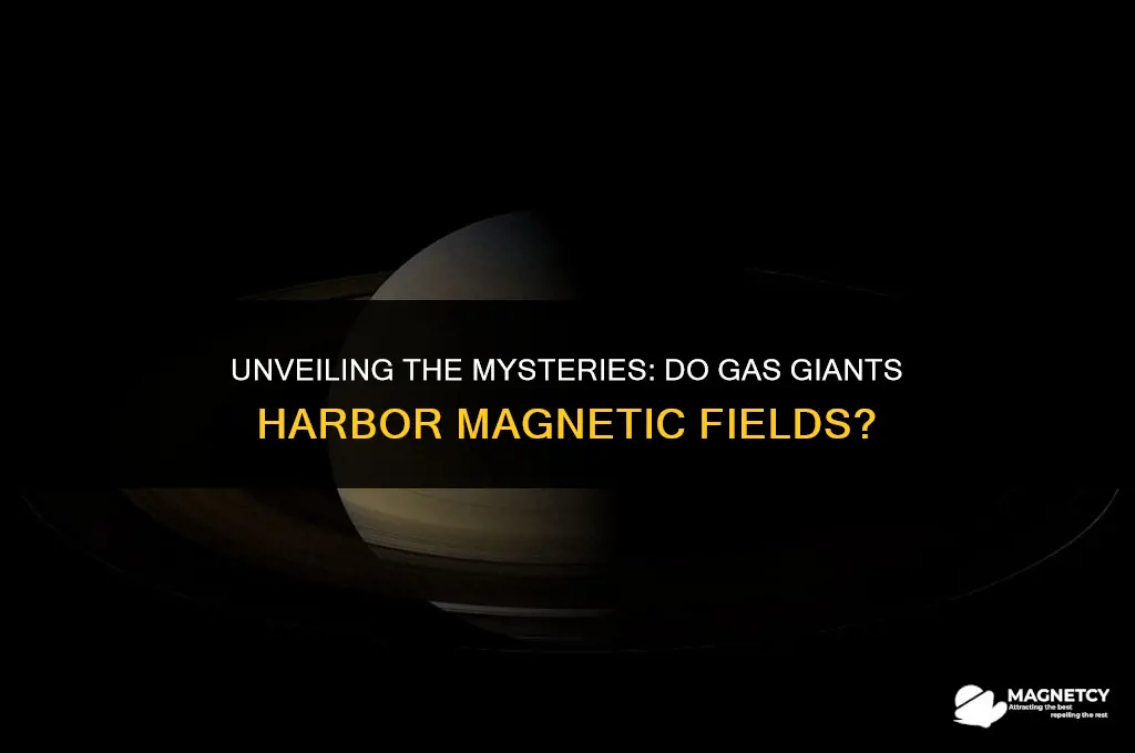 do gas giants have magnetic fields
