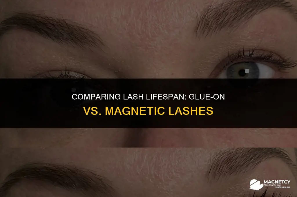 do glue on lashes stay longer than magnetic lashes
