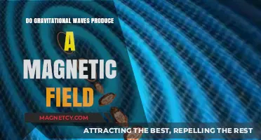 Exploring the Connection: Gravitational Waves and Magnetic Fields