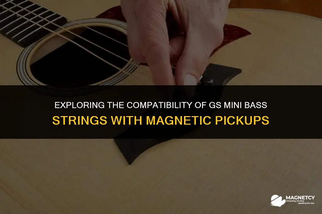 do gs mini bass strings work with magnetic pickups