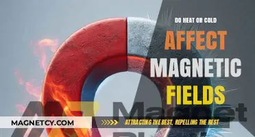 Exploring the Impact of Temperature on Magnetic Fields