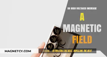 Exploring the Link Between High Voltages and Magnetic Fields