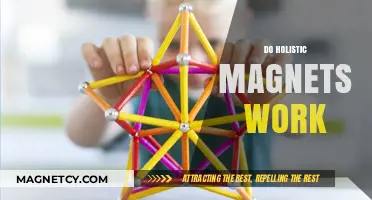 Exploring the Science Behind Holistic Magnets: Do They Really Work?