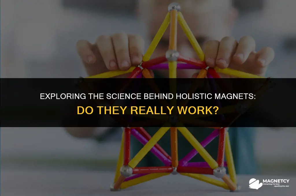 do holistic magnets work
