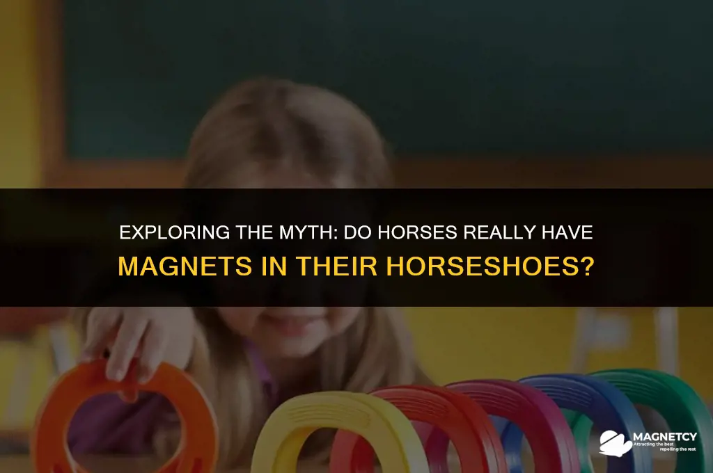 do horses have magnets in ther horseshoes
