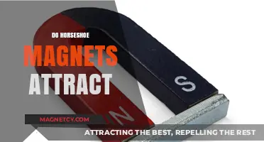Do Horseshoe Magnets Attract? Exploring Magnetic Forces and Properties