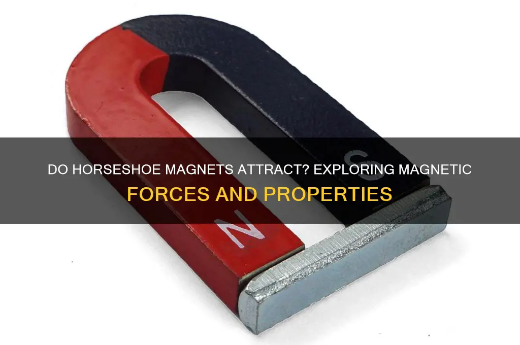 do horseshoe magnets attract