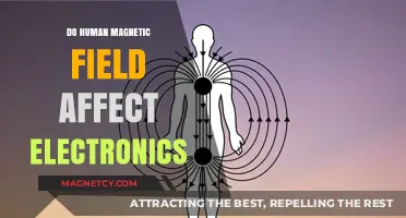 Exploring the Invisible Force: Human Magnetic Fields and Electronics