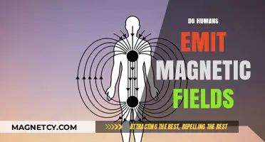 Exploring the Invisible: Do Humans Emit Magnetic Fields?