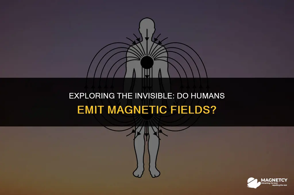 do humans emit magnetic fields