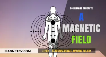 Exploring the Invisible: Do Humans Generate a Magnetic Field?
