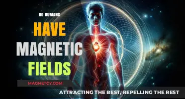 Exploring the Invisible: Do Humans Emit Magnetic Fields?