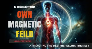 Exploring the Human Body's Hidden Magnetic Field: Facts and Myths