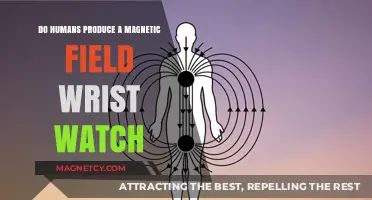 Exploring the Myth: Do Humans Emit Magnetic Fields?