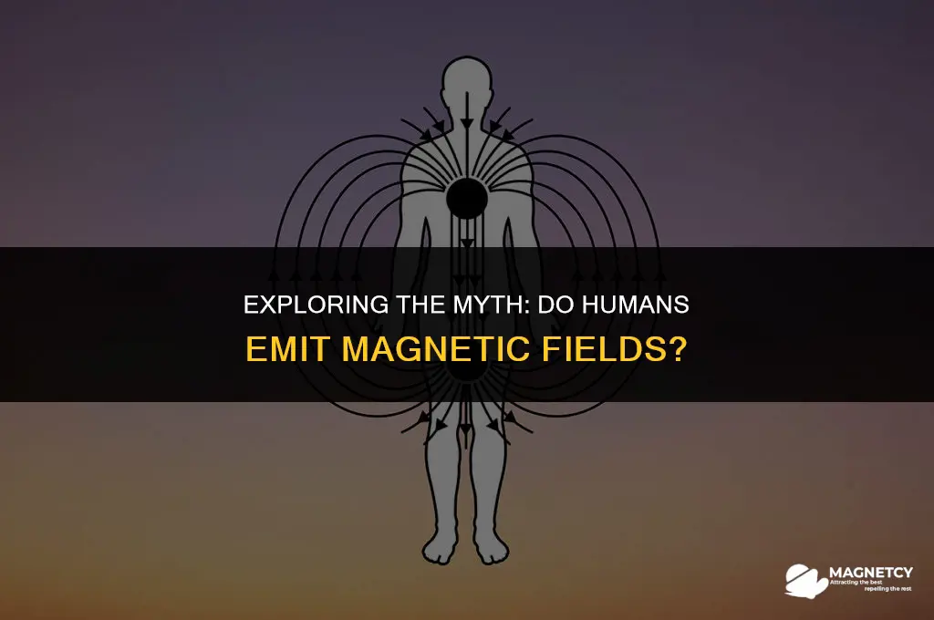do humans produce a magnetic field wrist watch