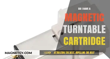 Decoding Magnetic Turntable Cartridges: A Comprehensive Guide