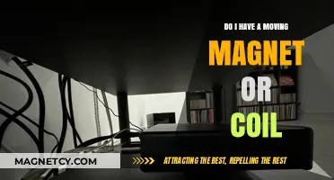 Understanding Your Electric Motor: Moving Magnet vs. Coil