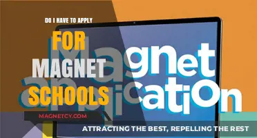 Exploring Magnet Schools: A Guide to Application Decisions