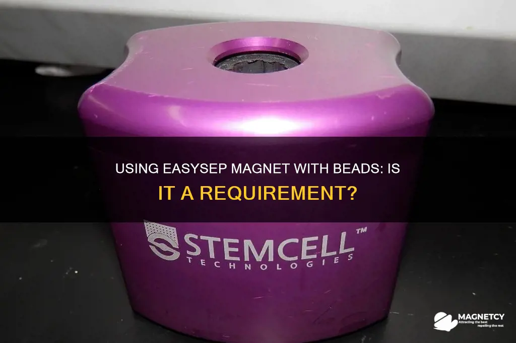 do i have to use easysep magnet on their beads